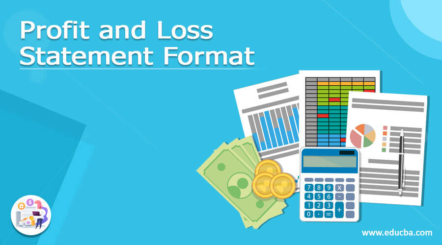 Profit and Loss Statement Format