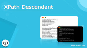 XPath Descendant | Examples of XPath Descendant