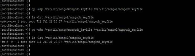 mongodb file 2