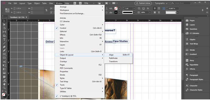 Align panel option output 27