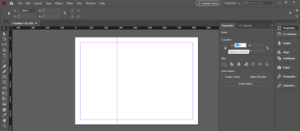 InDesign portfolio template | How to Create Portfolio Template in InDesign?