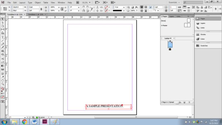 presentation view indesign