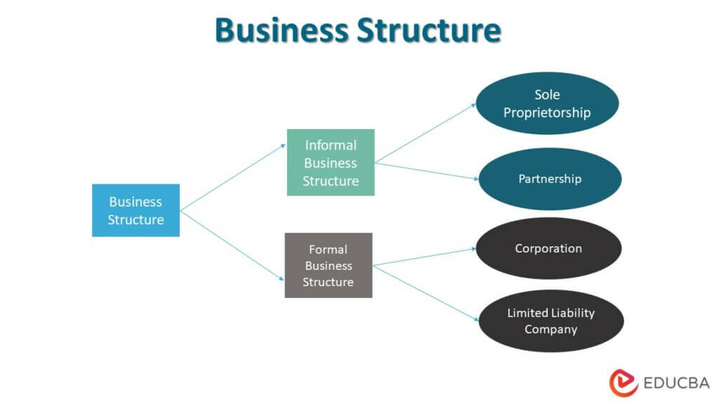 Business Structure - Purpose, Types, Chart & Example