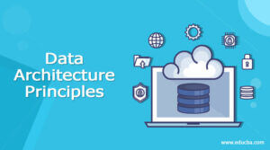 Data Architecture Principles | What is Data architecture principles?