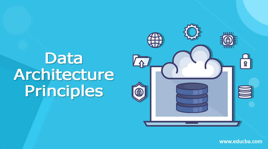 Data Architecture Principles