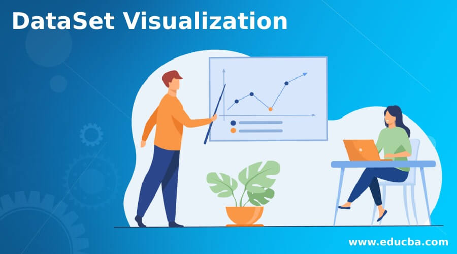 DataSet Visualization