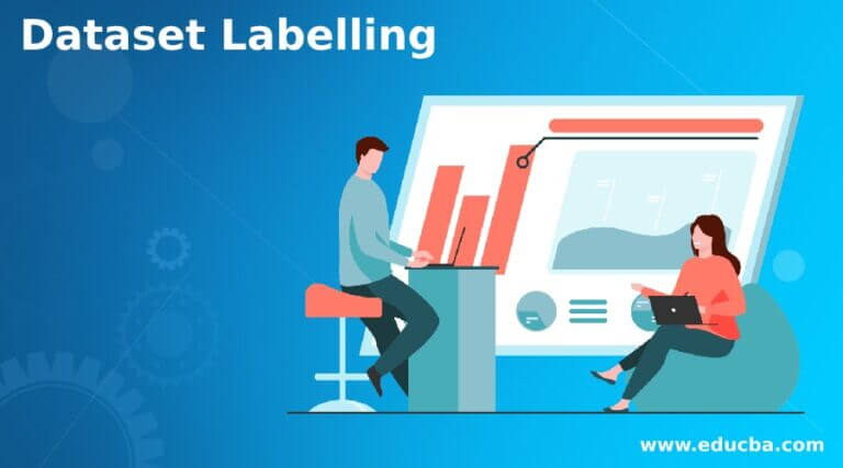 Dataset Labelling | Working | Types | Importance of Data Labelling