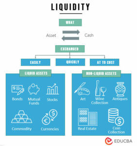 Liquid Assets Examples | What are Liquid Assets and its Importance?