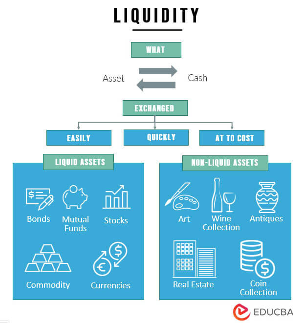 Liquid Assets Examples What Are Liquid Assets And Its Importance 