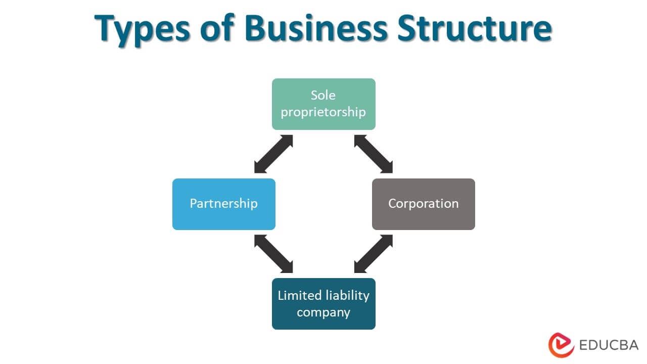 business-structure-purpose-types-chart-example