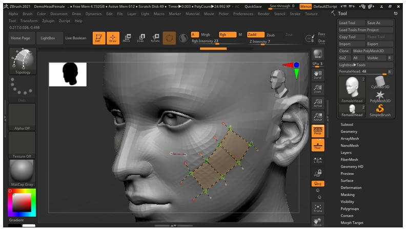 ZBrush Retopology 13