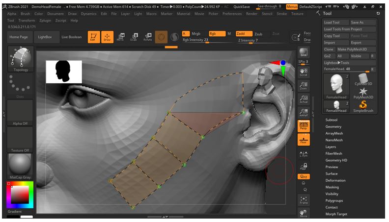 ZBrush Retopology 15