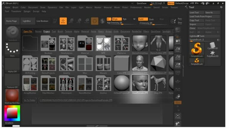 Zbrush Retopology How To Use Retopology In Zbrush 9874