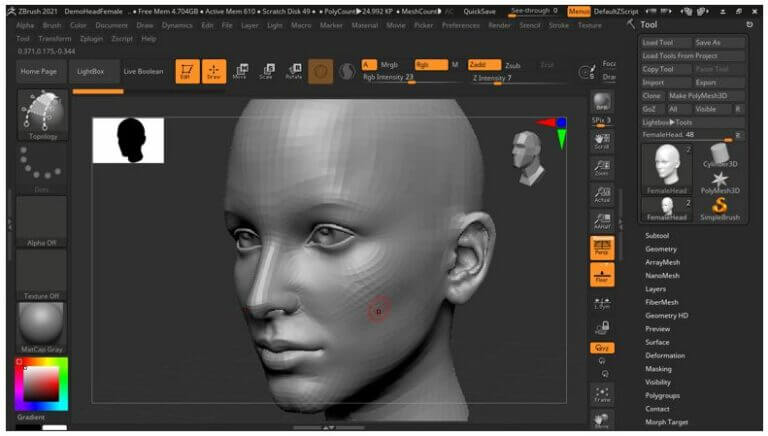 ZBrush Retopology | How to Use Retopology in ZBrush