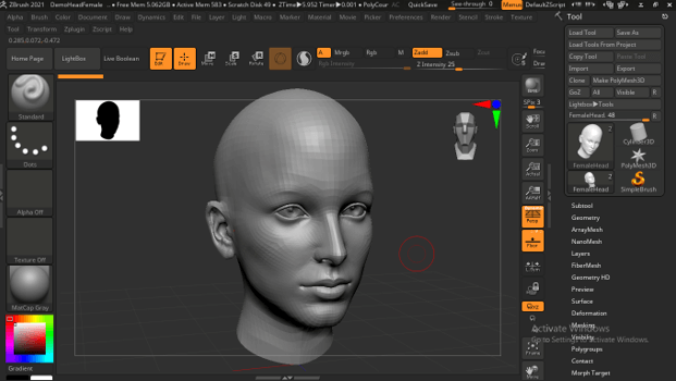 Sculpting Hair in ZBrush