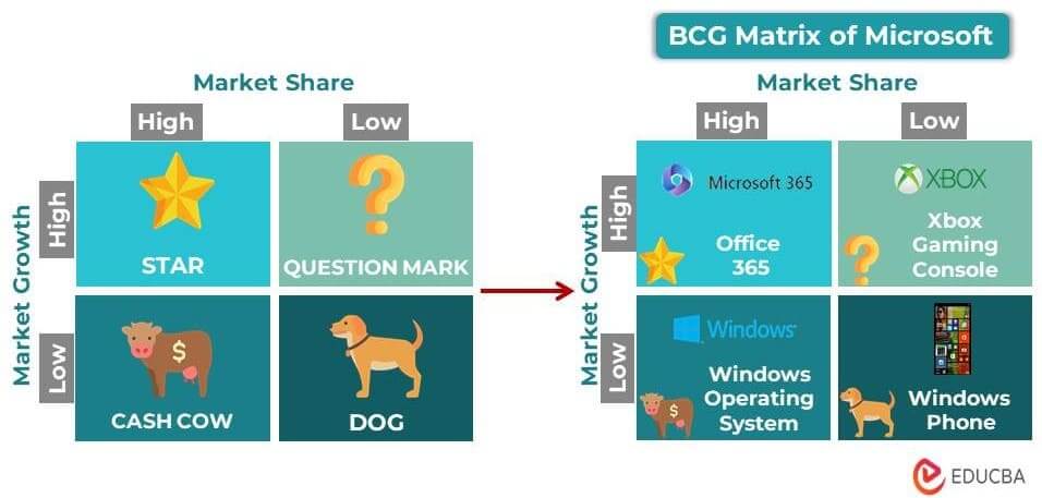 Cash Cow BCG Matrix