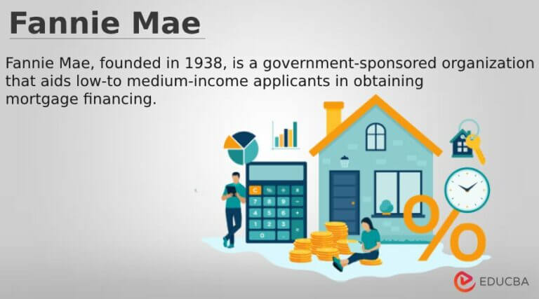 What Is Fannie Mae? - Purpose, Eligibility, Limits, Programs