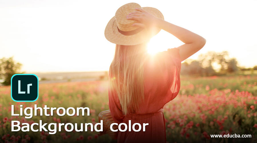 Lightroom Background color