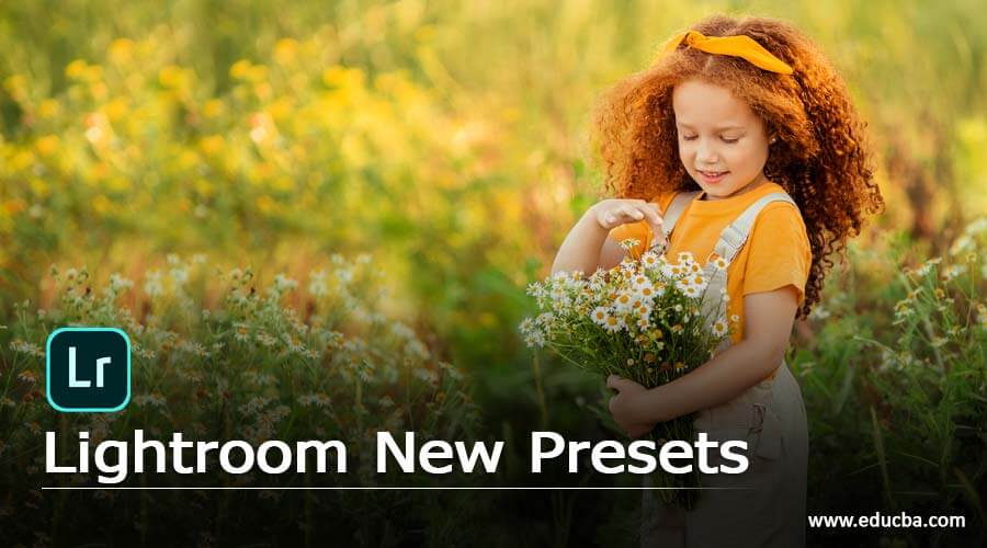 Lightroom New Presets