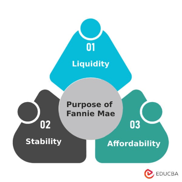 Purpose of Fannie Mae