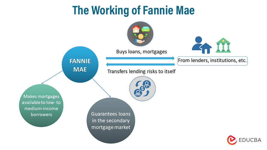 Working of Fannie Mae
