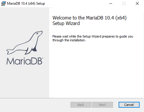 mariadb for windows output 3