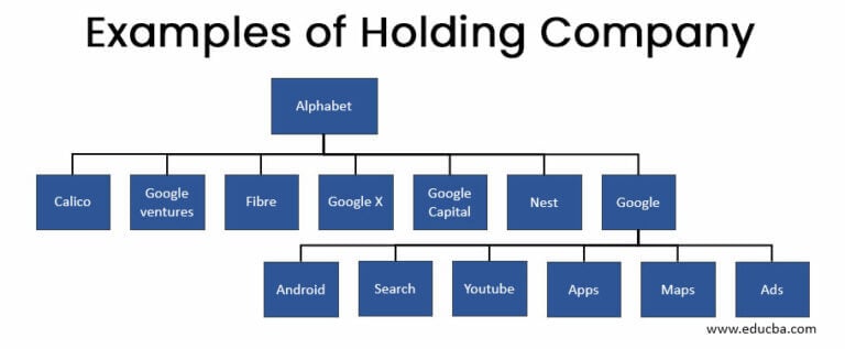 Holding Company | Features and Types of Holding Company with Example