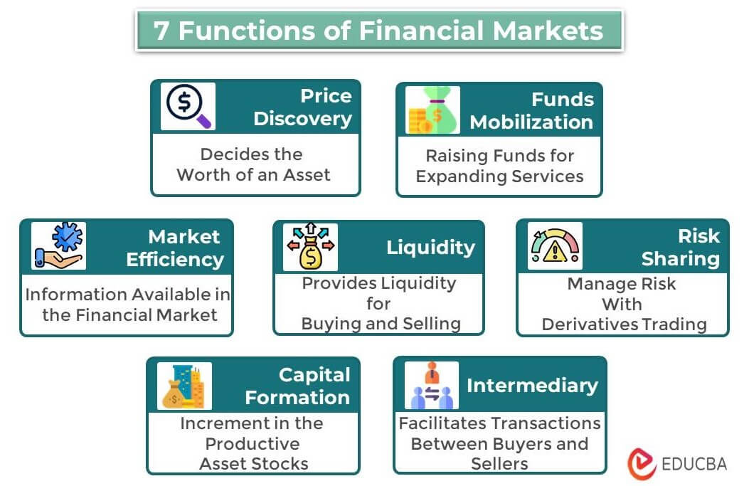 what-is-financial-management-and-its-functions-photography-by-tunc-e