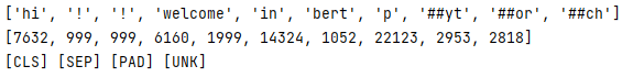 PyTorch BERT output 2