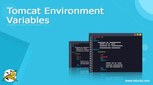 Tomcat Environment Variables | Setting up Tomcat Environment Variables