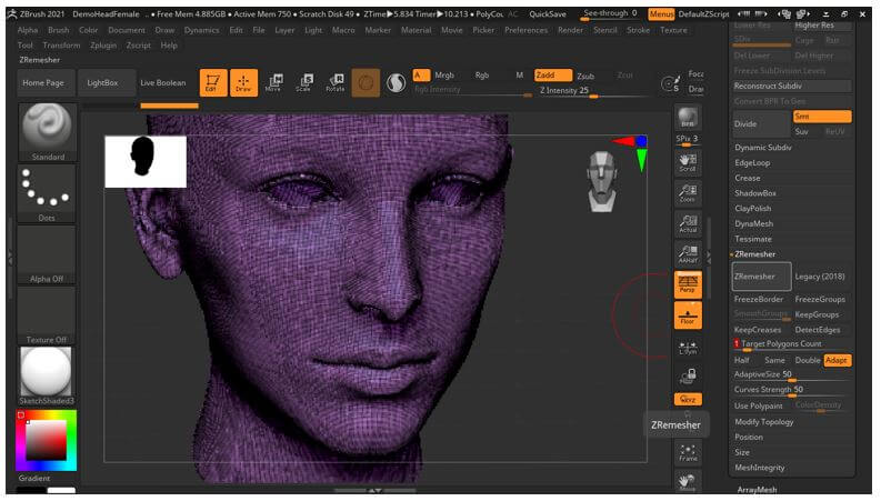 ZBrush ZRemesher 11