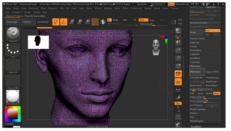 ZBrush ZRemesher 12