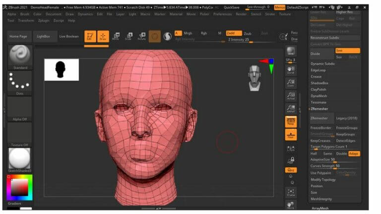 ZBrush ZRemesher | Complete Guide On ZBrush ZRemesher