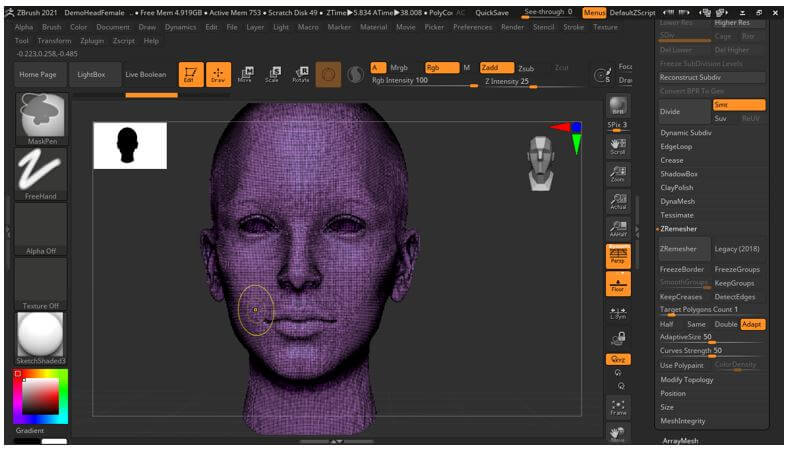 ZBrush ZRemesher 17