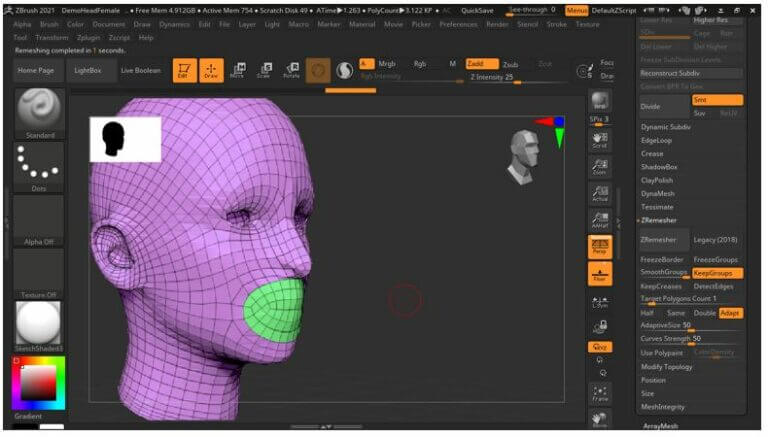 ZBrush ZRemesher | Complete Guide on ZBrush ZRemesher