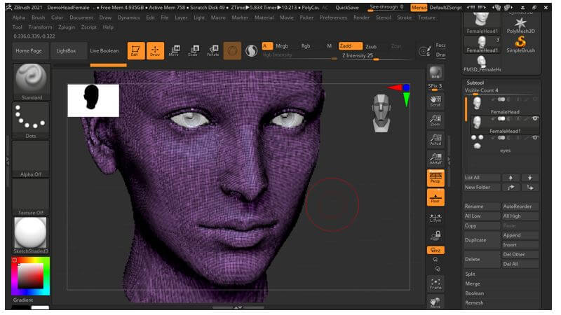 switch to front view zbrush