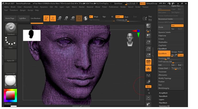 zbrush cannot complete this action