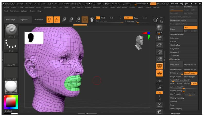 zbrush 2020 fail zremesher