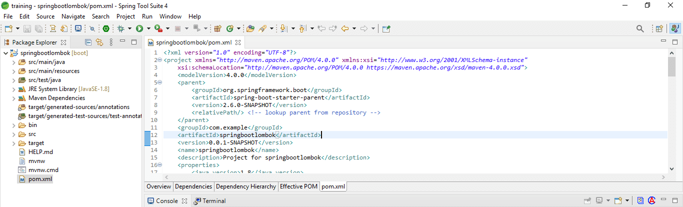 Spring Boot Lombok Application Step 3