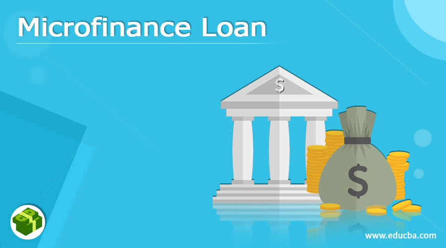 Microfinance Loan