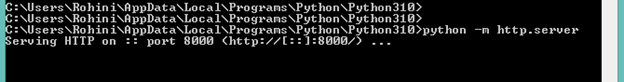 Python 3 HTTP Server output 3