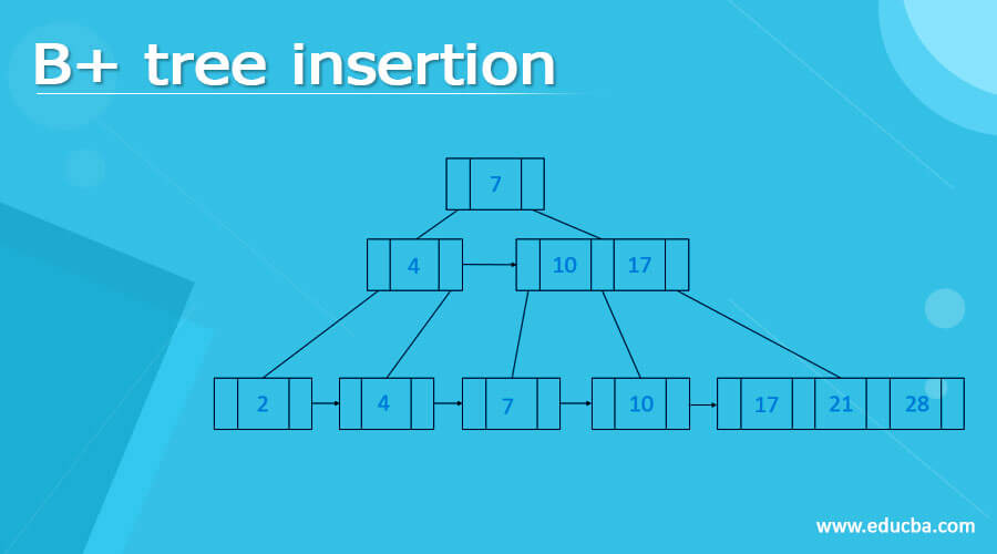 B+ tree insertion