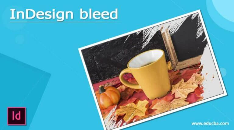 InDesign Bleed: How to Set up add InDesign Bleed to a File