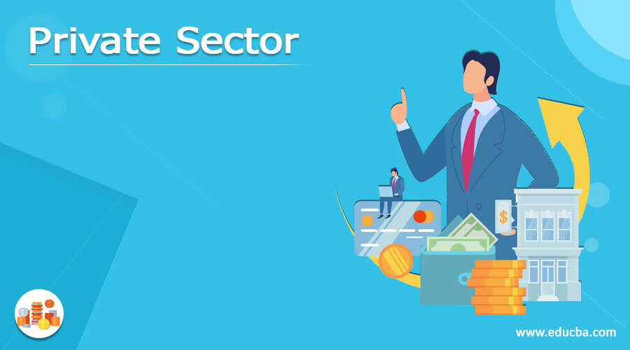 Private Sector | How does Private Sector work with Role and Example?