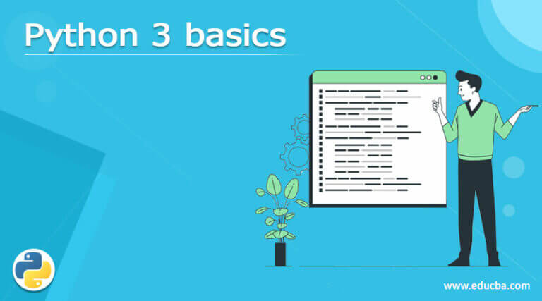 Python 3 Basics | Definition | Introduction | Python 3 Basics With Examples