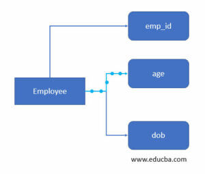 dbms entity | Learn the different types of entities in dbms
