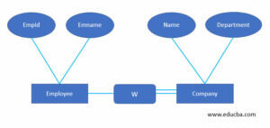 dbms entity | Learn the different types of entities in dbms