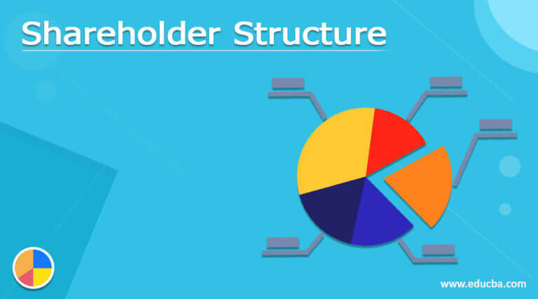 Shareholder Structure | Complete Guide On Shareholder Structure