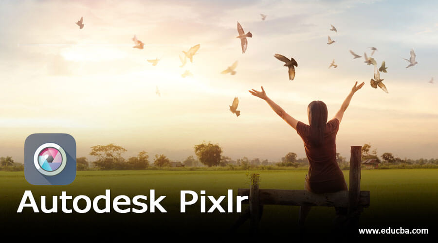 Pixlr E: A Photo Editor in the Cloud