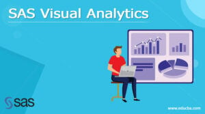 SAS Visual Analytics | What is SAS visual analytics? | How to use?